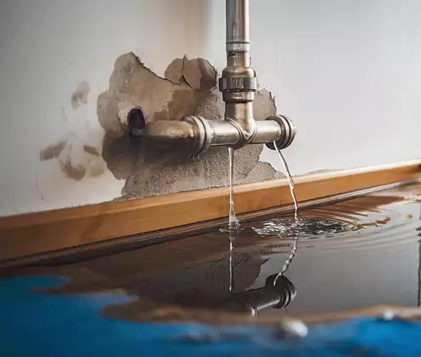 Professional Water Damage Restoration Experts in Maysville, KY — Fast, Reliable & Certified