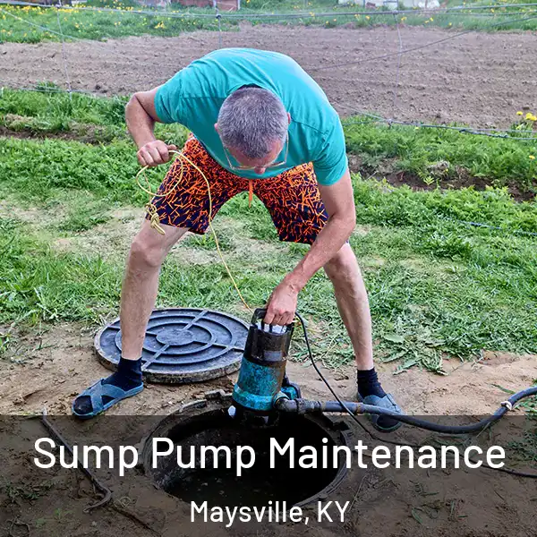  Sump Pump Maintenance Maysville, KY
