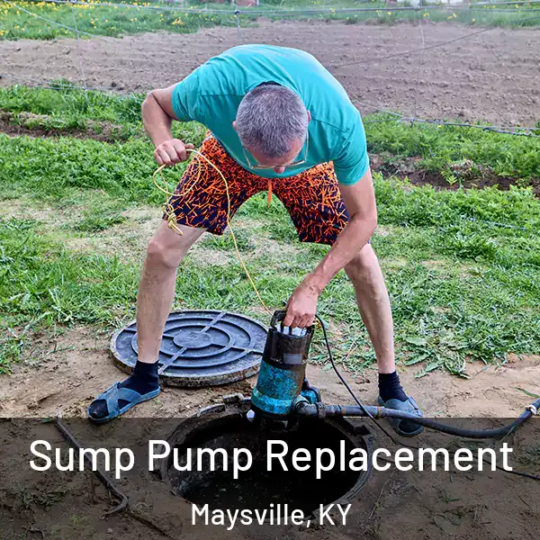  Sump Pump Replacement Maysville, KY