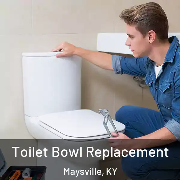  Toilet Bowl Replacement Maysville, KY