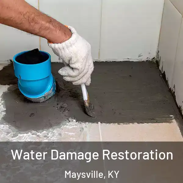  Water Damage Restoration Maysville, KY
