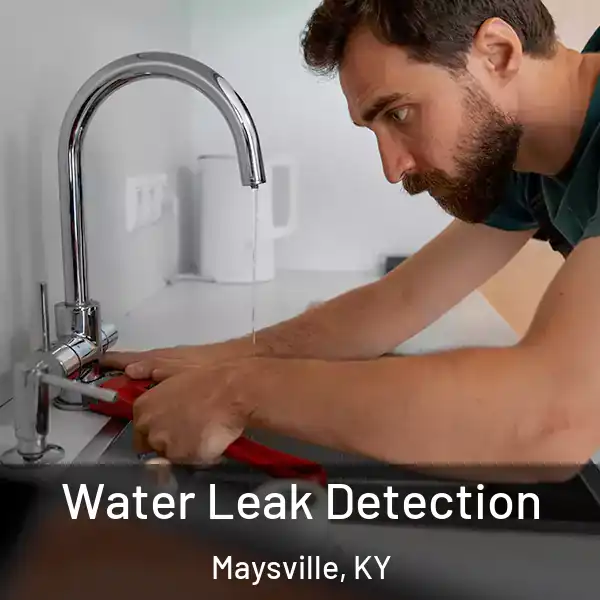  Water Leak Detection Maysville, KY